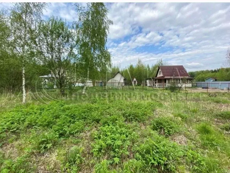 Участок в Ленинградская область, Выборгский район, Советское городское ... - Фото 1