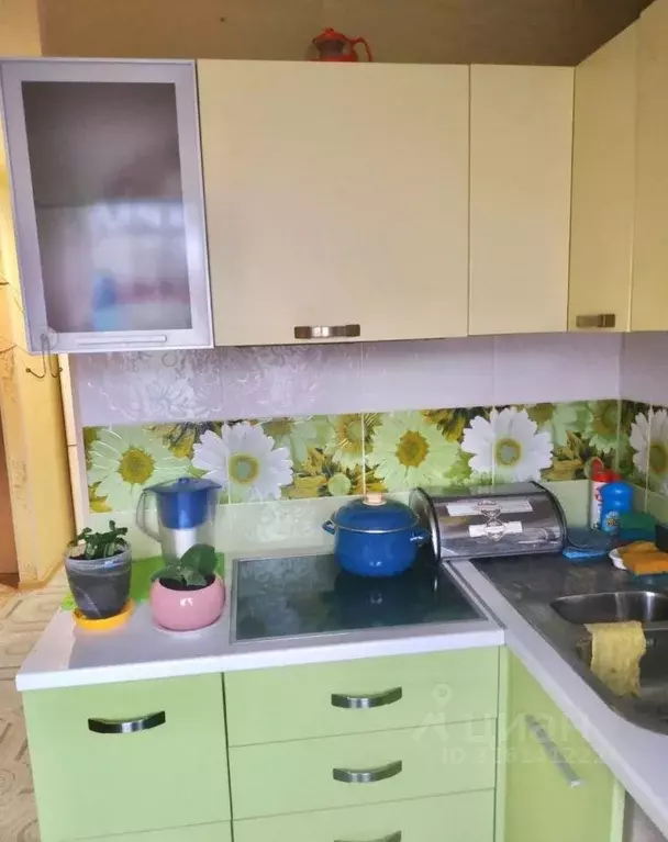 2-к кв. Новосибирская область, Новосибирск ул. Петухова, 40 (44.0 м) - Фото 1