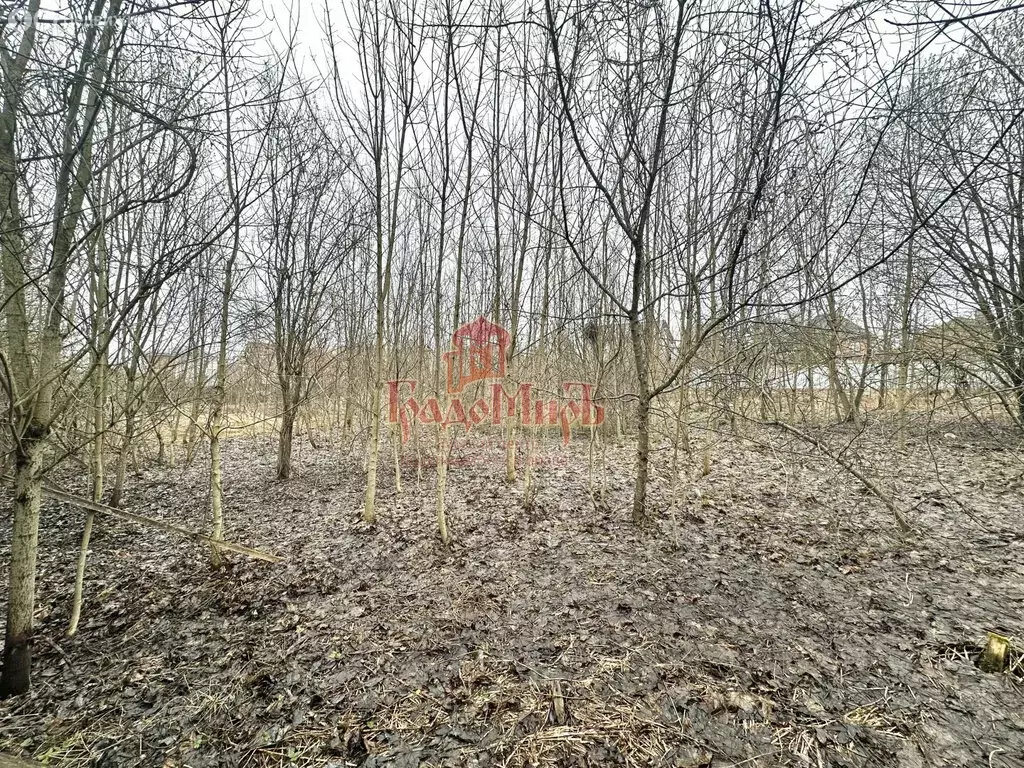 Участок в Московская область, Дмитровский муниципальный округ, село ... - Фото 1