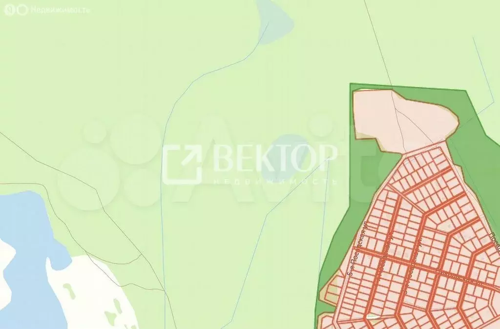 Участок в Ивановский район, Беляницкое сельское поселение, деревня ... - Фото 2