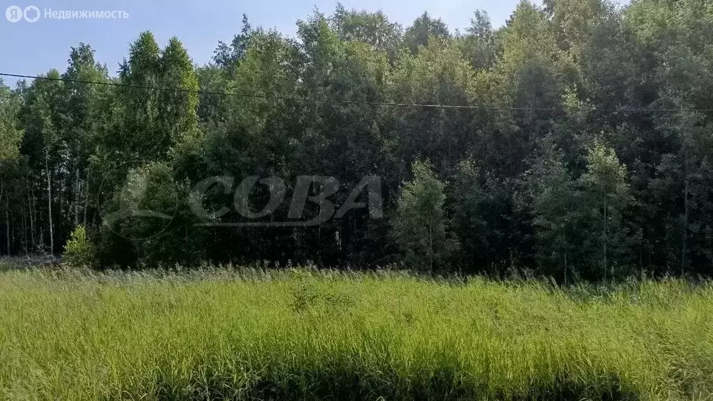 Участок в Нижнетавдинский район, село Тюнево (8 м) - Фото 1