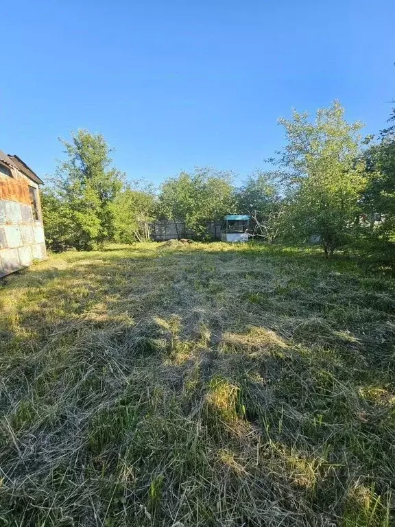 Участок в Московская область, Коломна Новое СНТ,  (5.0 сот.) - Фото 2