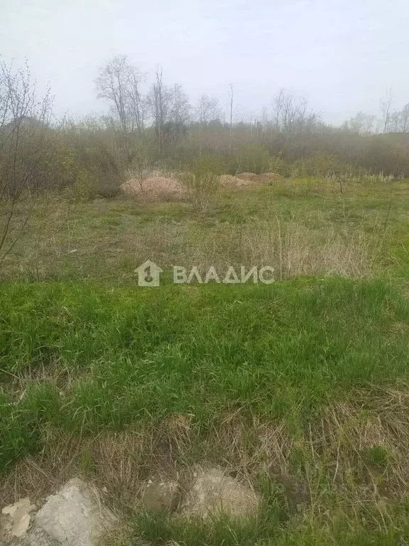 Участок в Ленинградская область, Гатчинский район, Учхоз садоводческий ... - Фото 0
