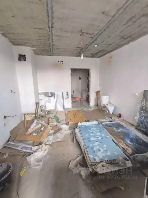 Студия Челябинская область, Троицк 5-й мкр, 19 (24.0 м) - Фото 1