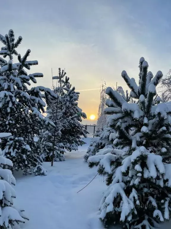 Коттедж в Московская область, Пушкинский городской округ, д. Мураново ... - Фото 1