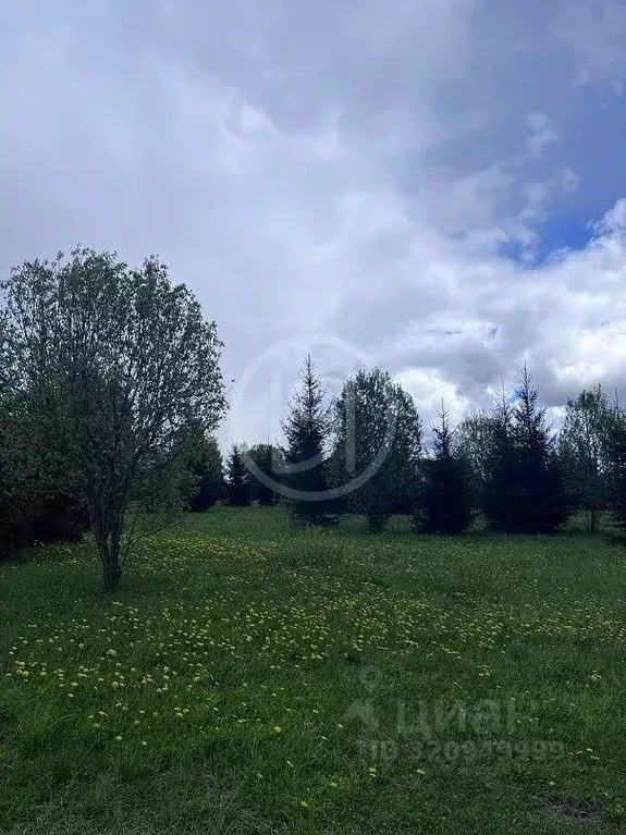 Участок в Московская область, Можайский муниципальный округ, Ясная ... - Фото 0