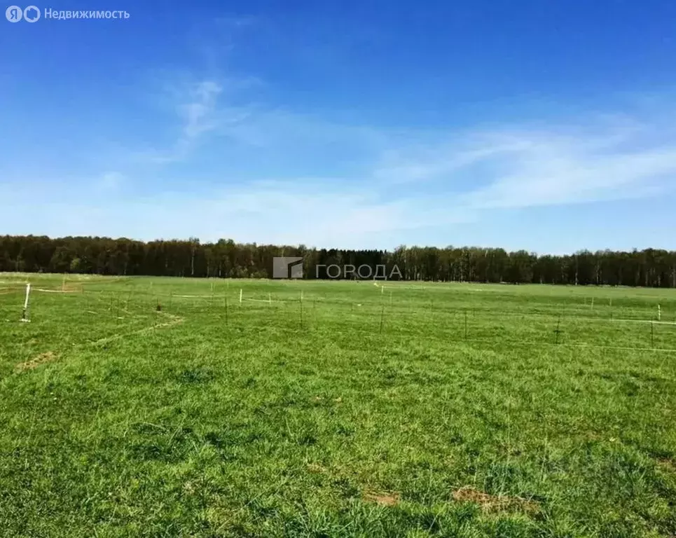 Участок в Первомайский район, посёлок Новый, улица Есенина, 78 (12 м) - Фото 1
