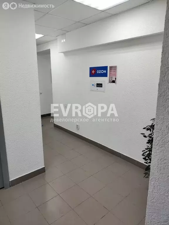 Офис (32 м) - Фото 2