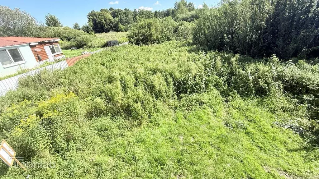 Участок в Калининградская область, Зеленоградский муниципальный округ, ... - Фото 1