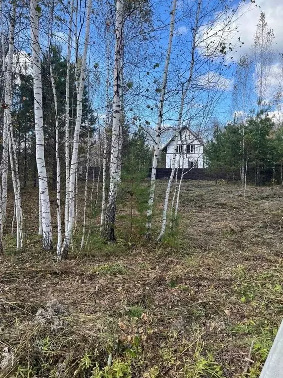 Участок в Новосибирская область, Новосибирский район, Кубовинский ... - Фото 1