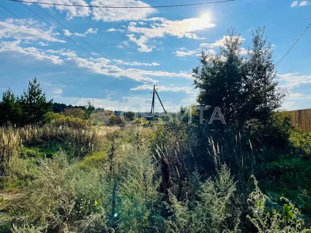 Участок в Тюменская область, Тюменский муниципальный округ, с. ... - Фото 2