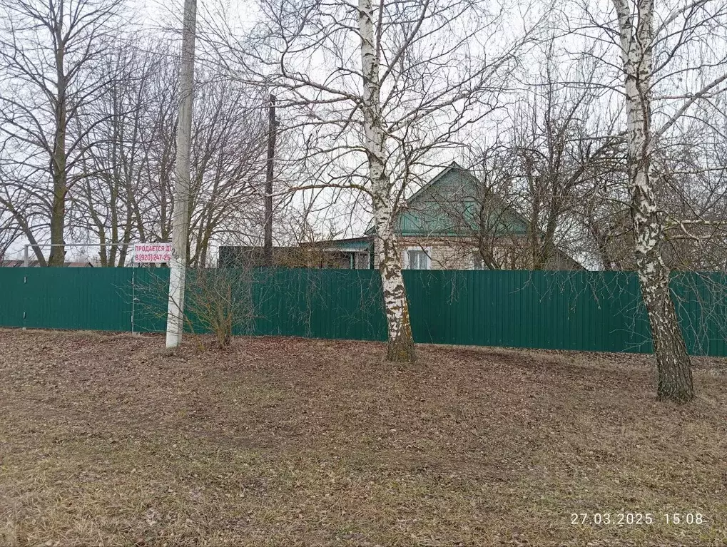Дом в Липецкая область, Добровский муниципальный округ, с. Борисовка ... - Фото 1