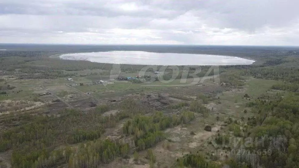 Участок в Тюменская область, Нижнетавдинский район, с. Тюнево  (7.0 ... - Фото 0