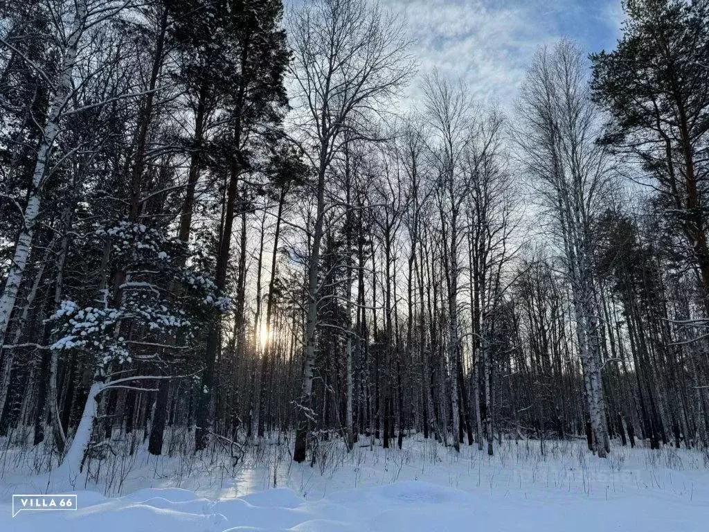 Участок в Свердловская область, Сысертский городской округ, пос. ... - Фото 0