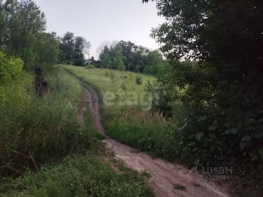 Участок в Белгородская область, Белгород Дальняя Садовая ул. (13.6 ... - Фото 1