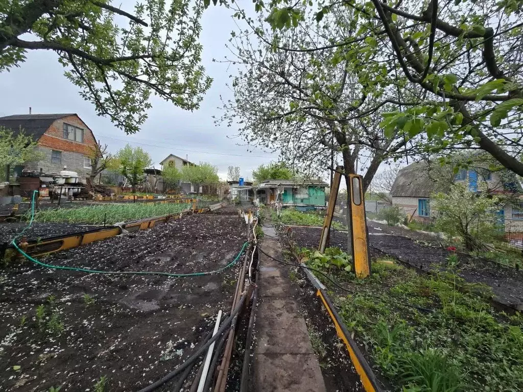 Дом в Воронежская область, Хохольское городское поселение, Весна пкс  ... - Фото 1
