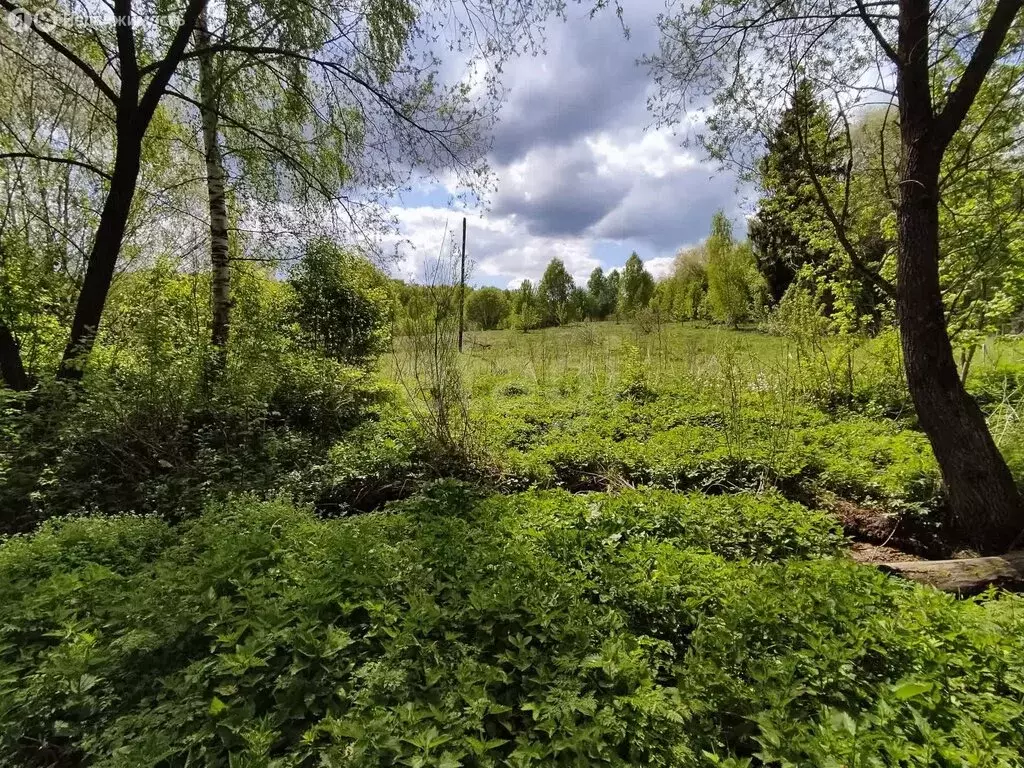 Участок в Суворовский район, сельское поселение Северо-Западное, ... - Фото 1