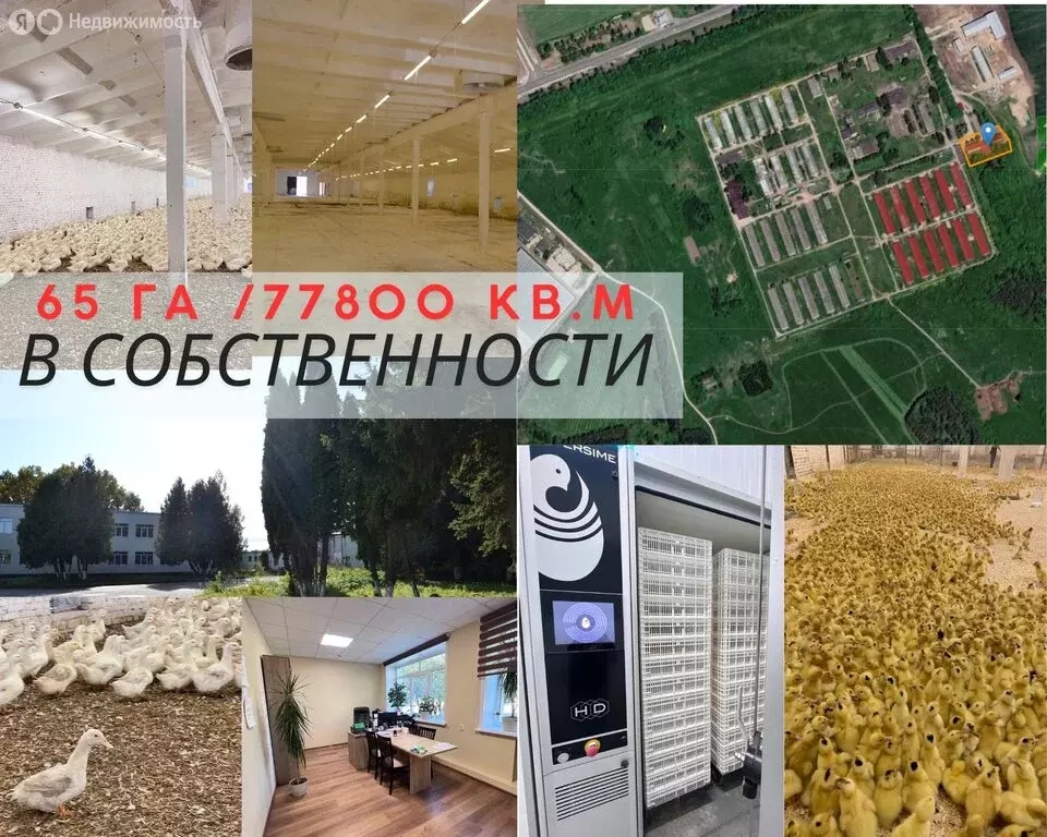 Производственное помещение (77800 м) - Фото 2