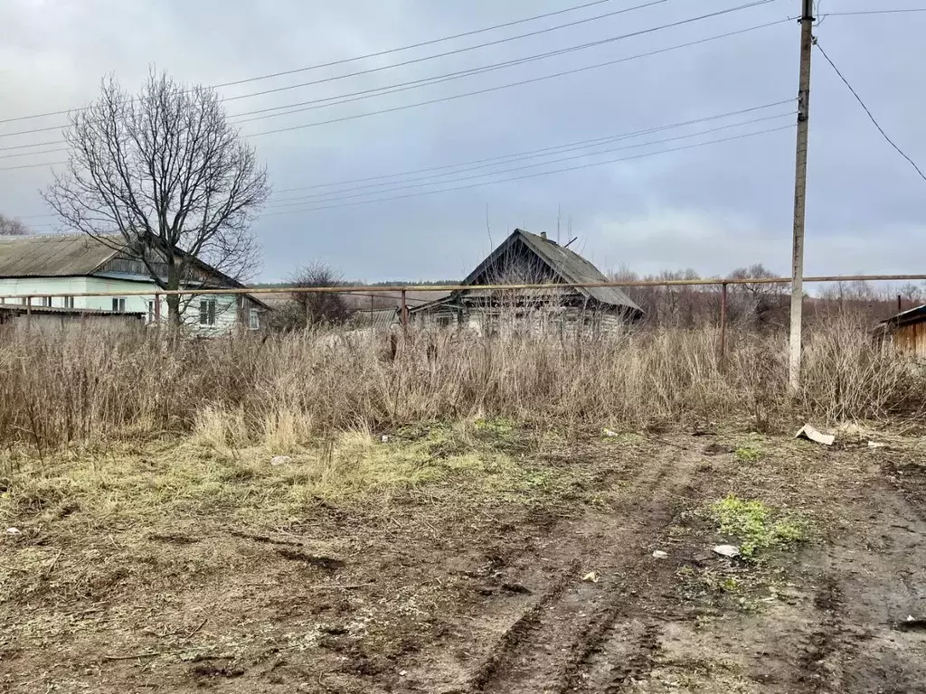 Дом в Мордовия, Большеберезниковский район, с. Косогоры ул. Ленина, ... - Фото 1