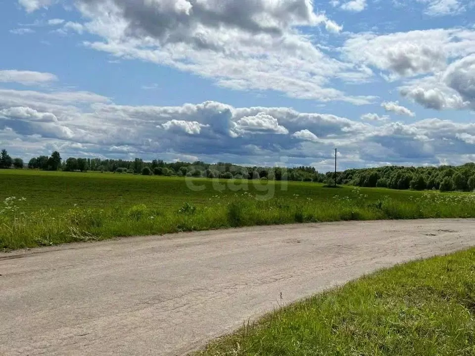 Участок в Ярославская область, Ярославский муниципальный округ, д. ... - Фото 1