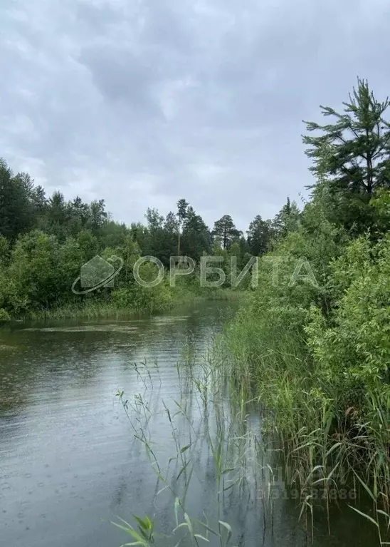 Дом в Тюменская область, Нижнетавдинский район, с. Тюнево  (82 м) - Фото 1