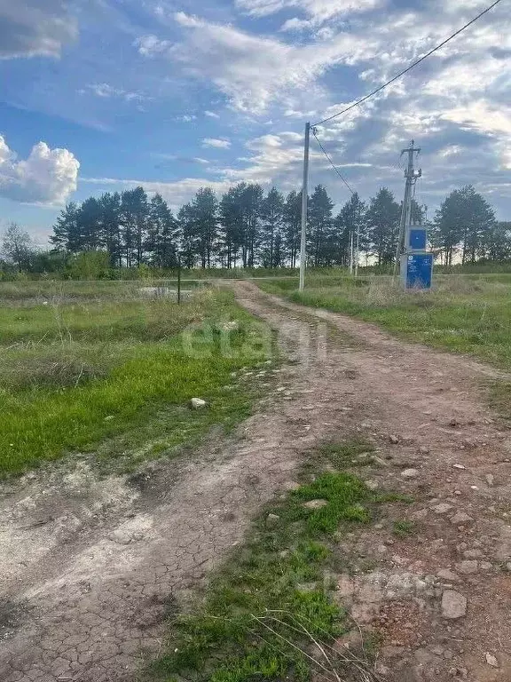 Участок в Мордовия, Лямбирский район, Пензятское с/пос, с. Пензятка ... - Фото 1