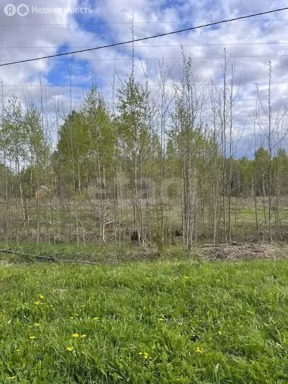 Участок в Калужская область, Юхновский муниципальный округ, сельское ... - Фото 0