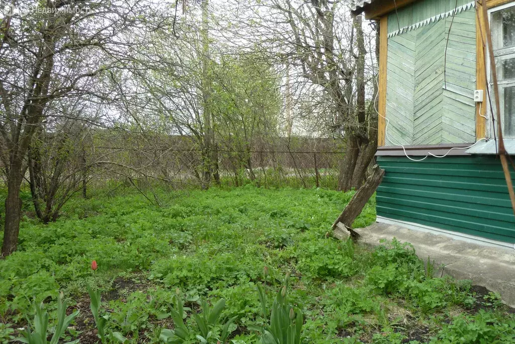 Дом в Новоусманский район, посёлок Тимирязево (24.2 м) - Фото 1