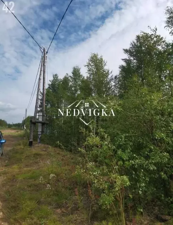 Участок, 9.9 сот., поселения (ижс) - Фото 2