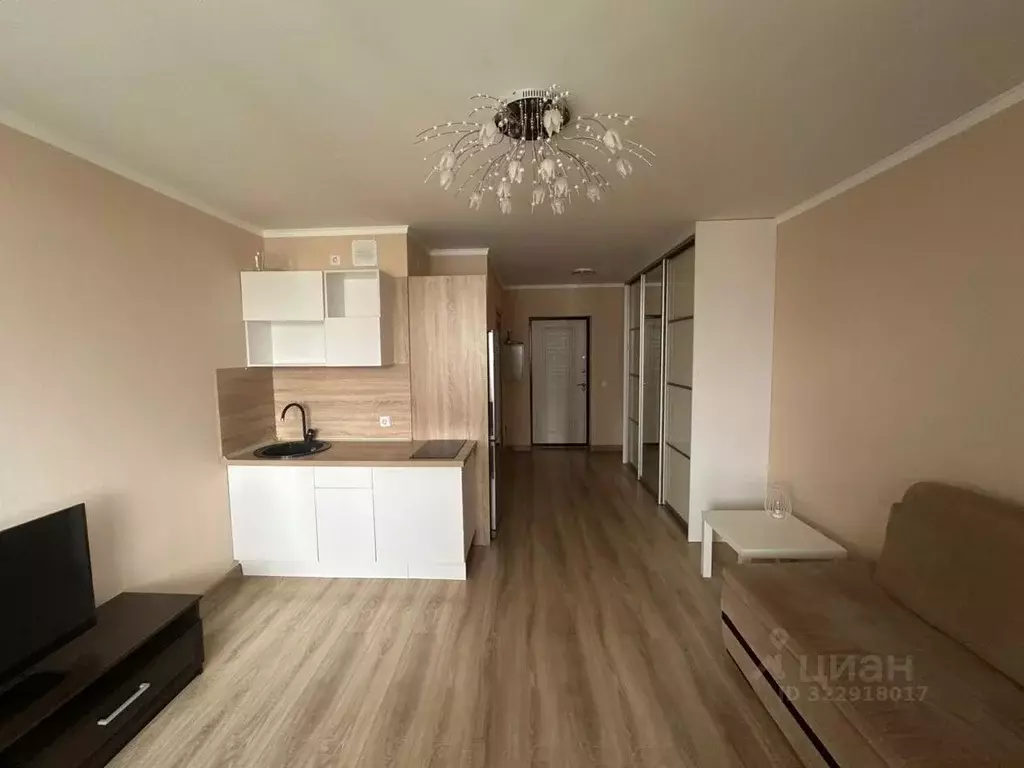 Студия Свердловская область, Екатеринбург ул. Рощинская, 21к3 (26.0 м) - Фото 1