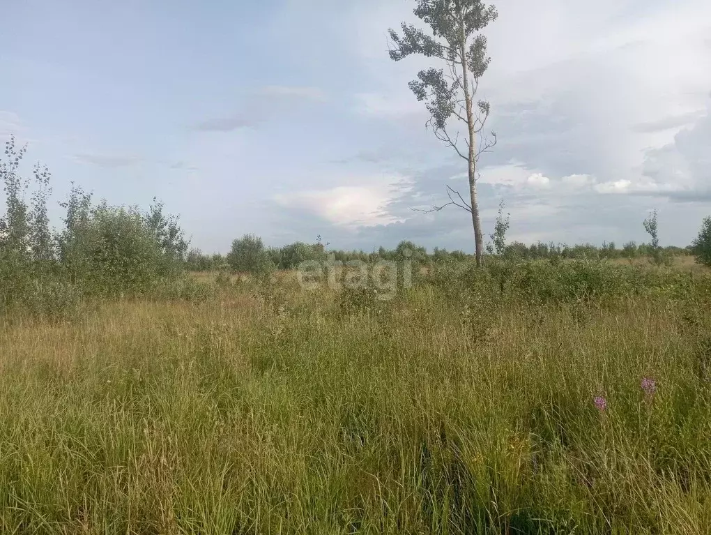 Смирново участки. П Гагарский Свердловская область.