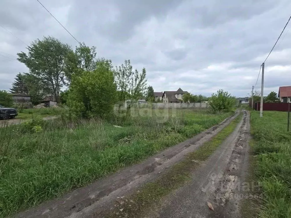 Участок в Курская область, Октябрьский район, Катыринский сельсовет, ... - Фото 1