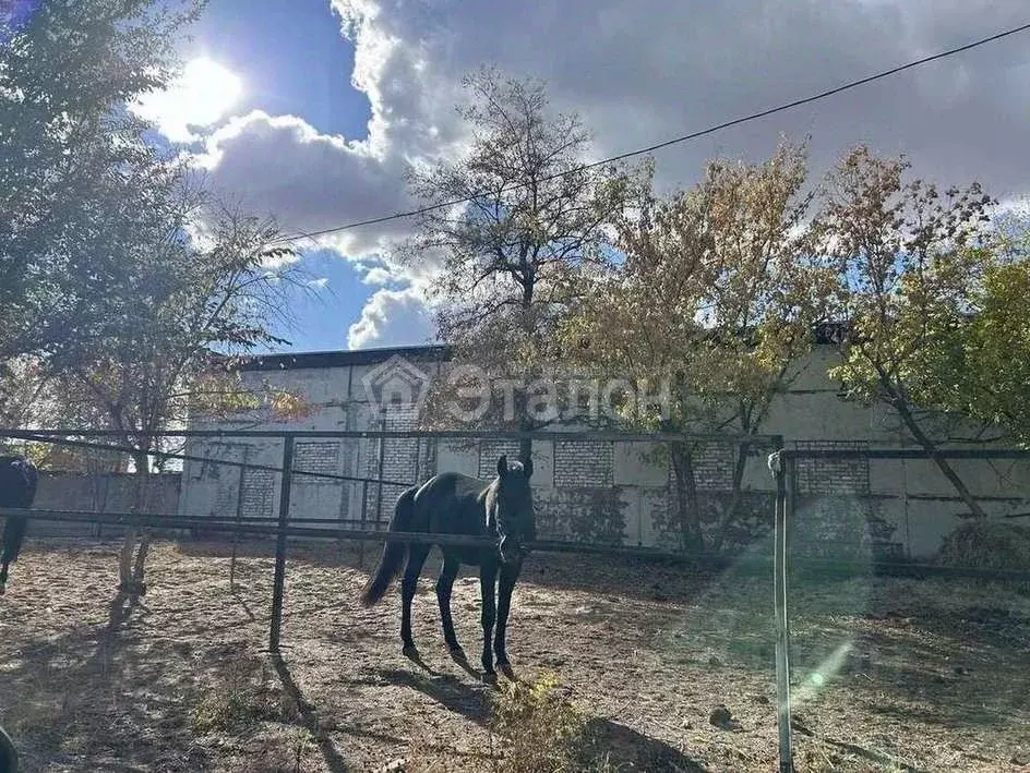 Участок в Волгоградская область, Городищенский район, Царицынское ... - Фото 0