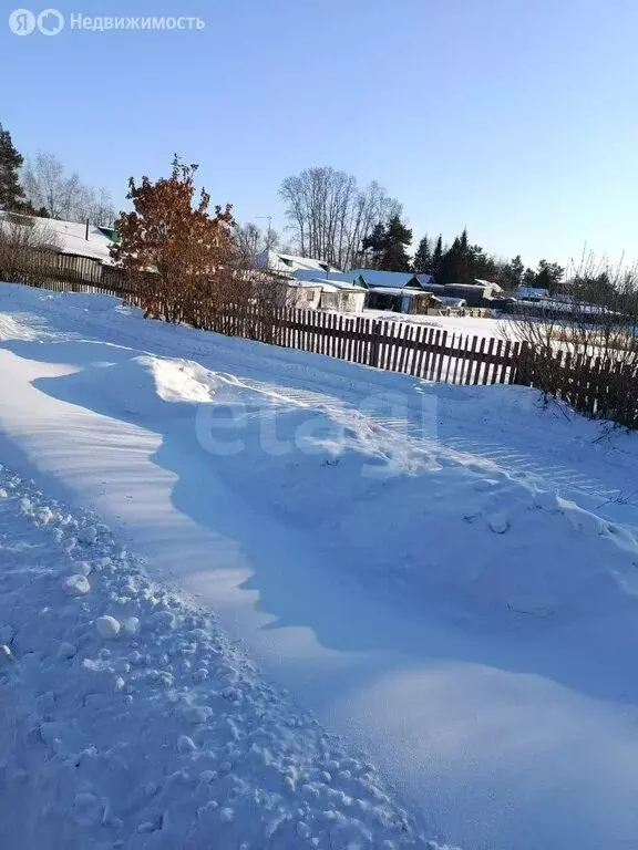 Участок в Амурская область, село Ивановка (14 м) - Фото 2