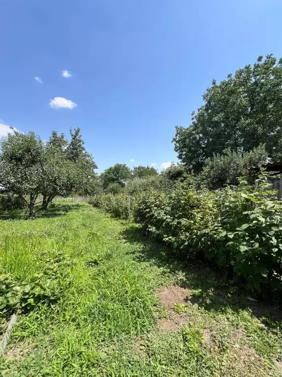 Дом в Краснодарский край, Усть-Лабинский район, Ладожское с/пос, ... - Фото 2