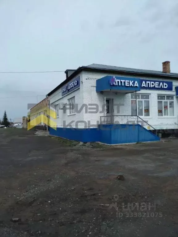 Помещение свободного назначения в Омская область, Горьковское рп ул. ... - Фото 2