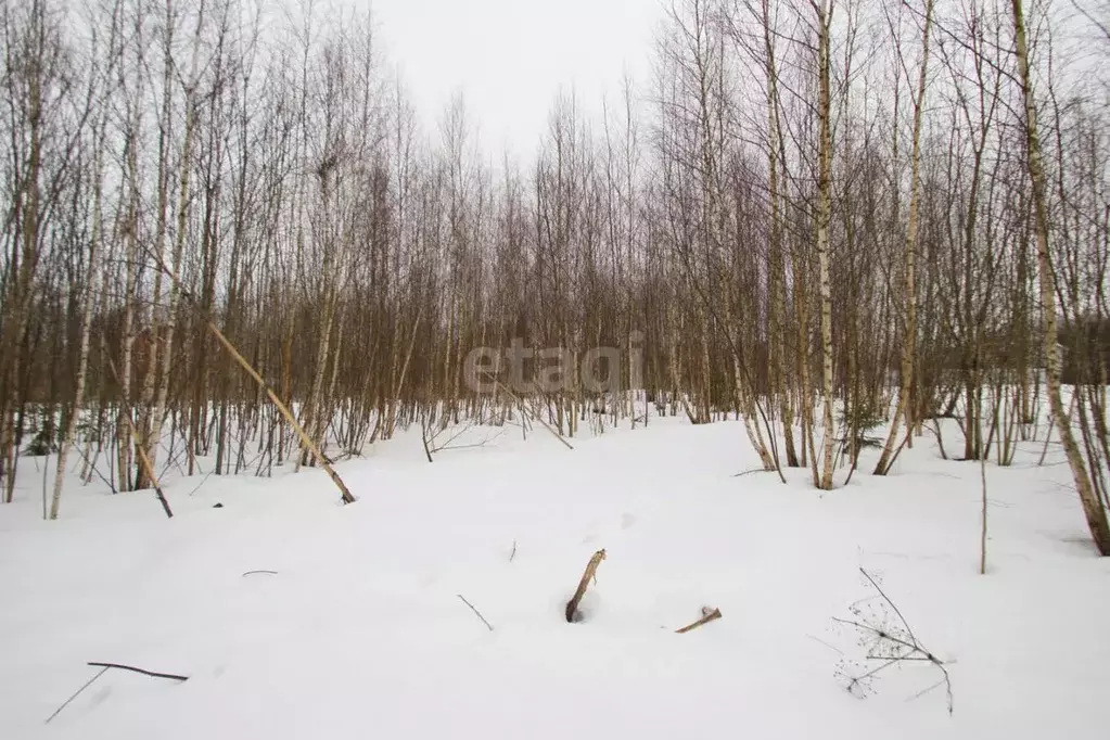 Участок в Калужская область, Калуга городской округ, д. Жерело  (15.0 ... - Фото 1