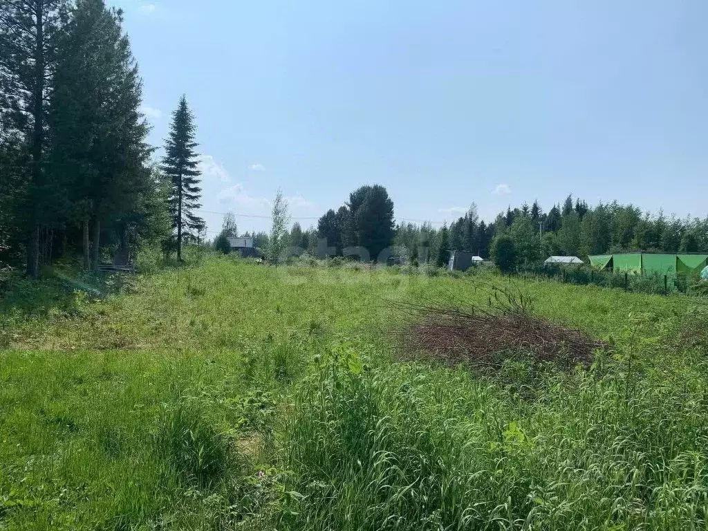 Участок в Ханты-Мансийский АО, Ханты-Мансийск УПТВСиИС-2 СОТ, 15 (11.8 ... - Фото 0