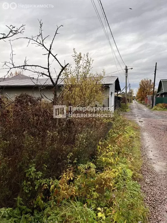 Участок в Санкт-Петербург, садоводство Красный Треугольник, ... - Фото 0