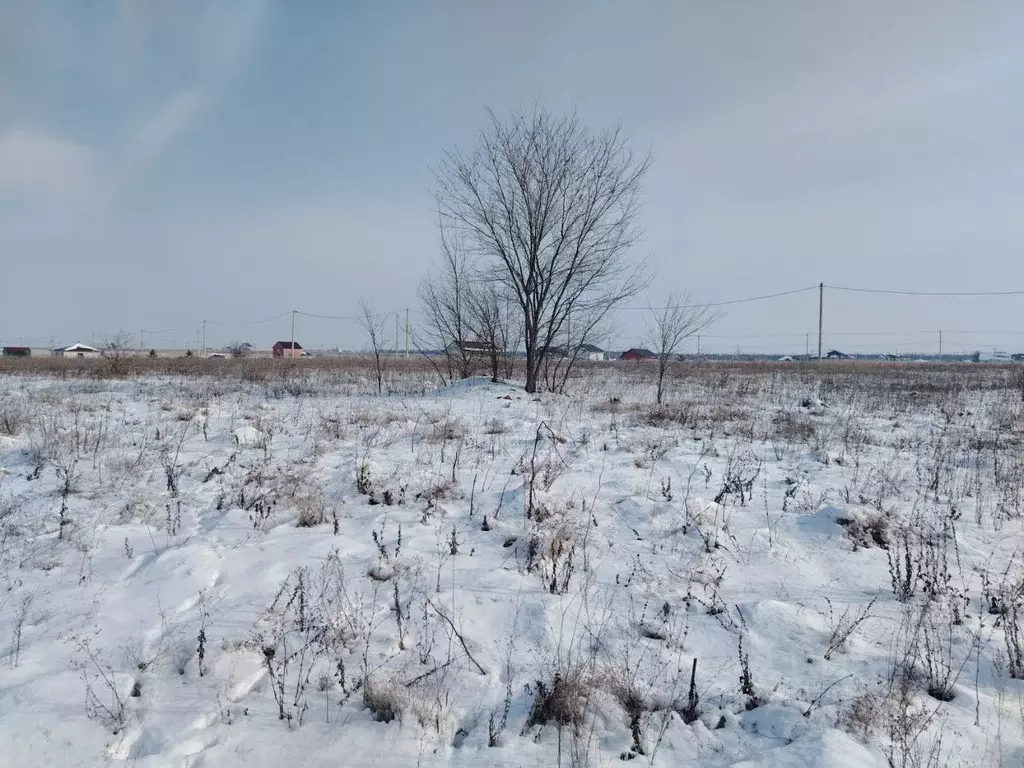 Участок в Липецкая область, Липецкий муниципальный округ, с. Сенцово ... - Фото 2