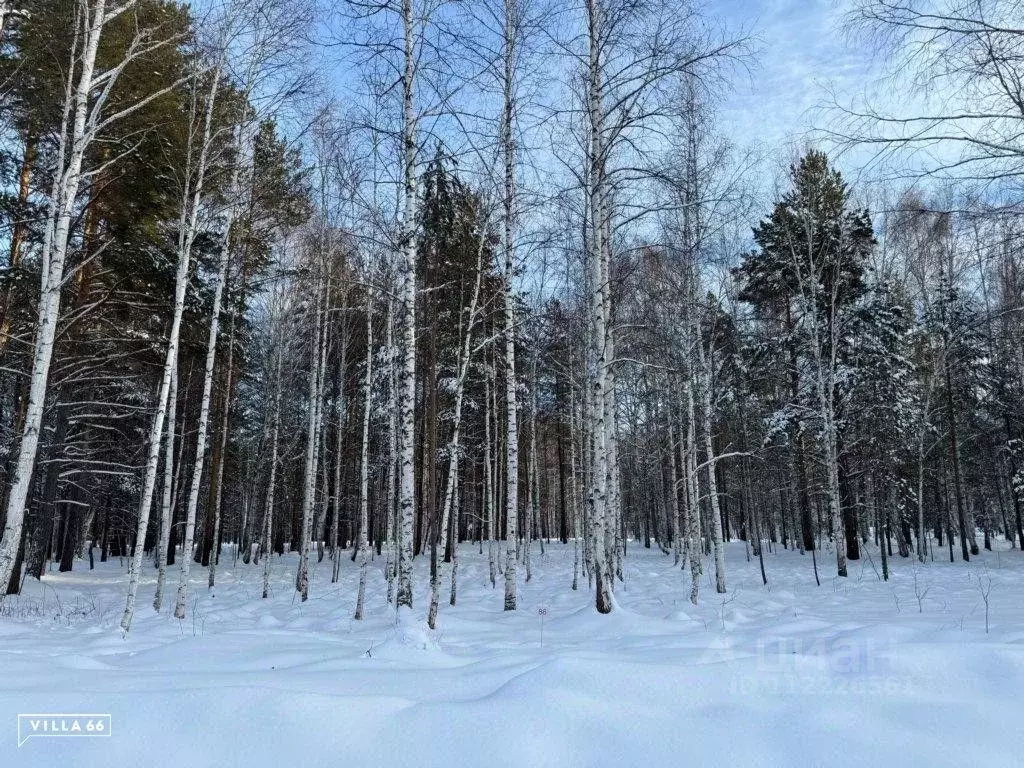 Участок в Свердловская область, Сысертский городской округ, пос. ... - Фото 0