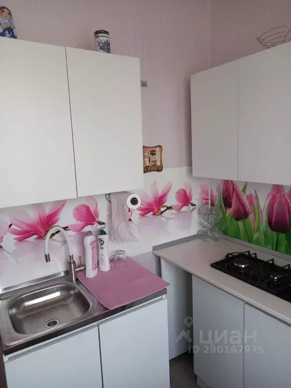 1-к кв. Ставропольский край, Железноводск Октябрьская ул., 96Б (31.0 ... - Фото 2