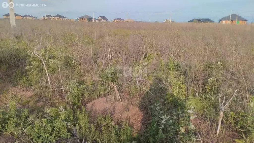 Участок в Яковлевский городской округ, село Терновка (19.4 м) - Фото 0