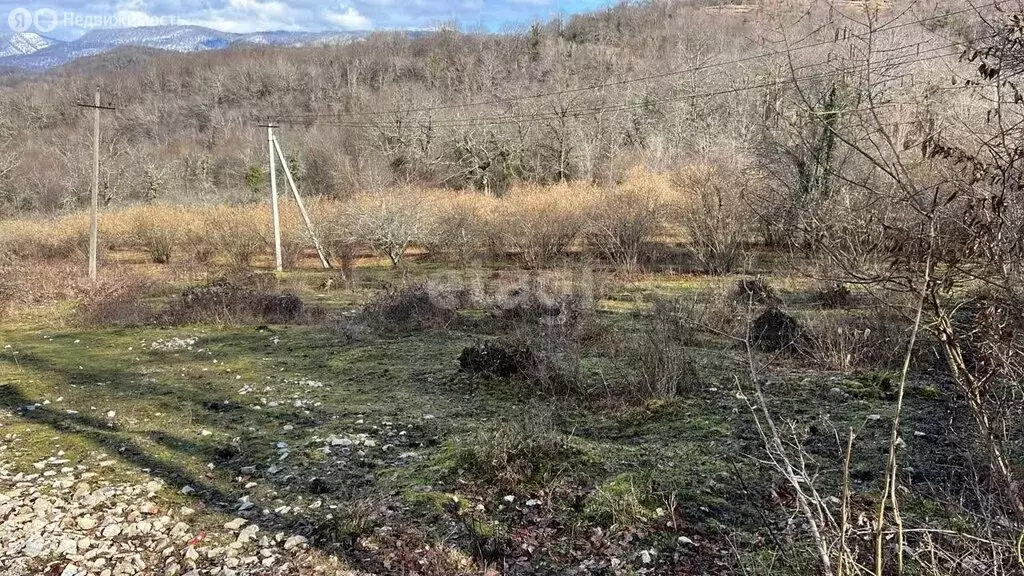 Участок в Краснодарский край, городской округ Сочи, село Красная Воля ... - Фото 1