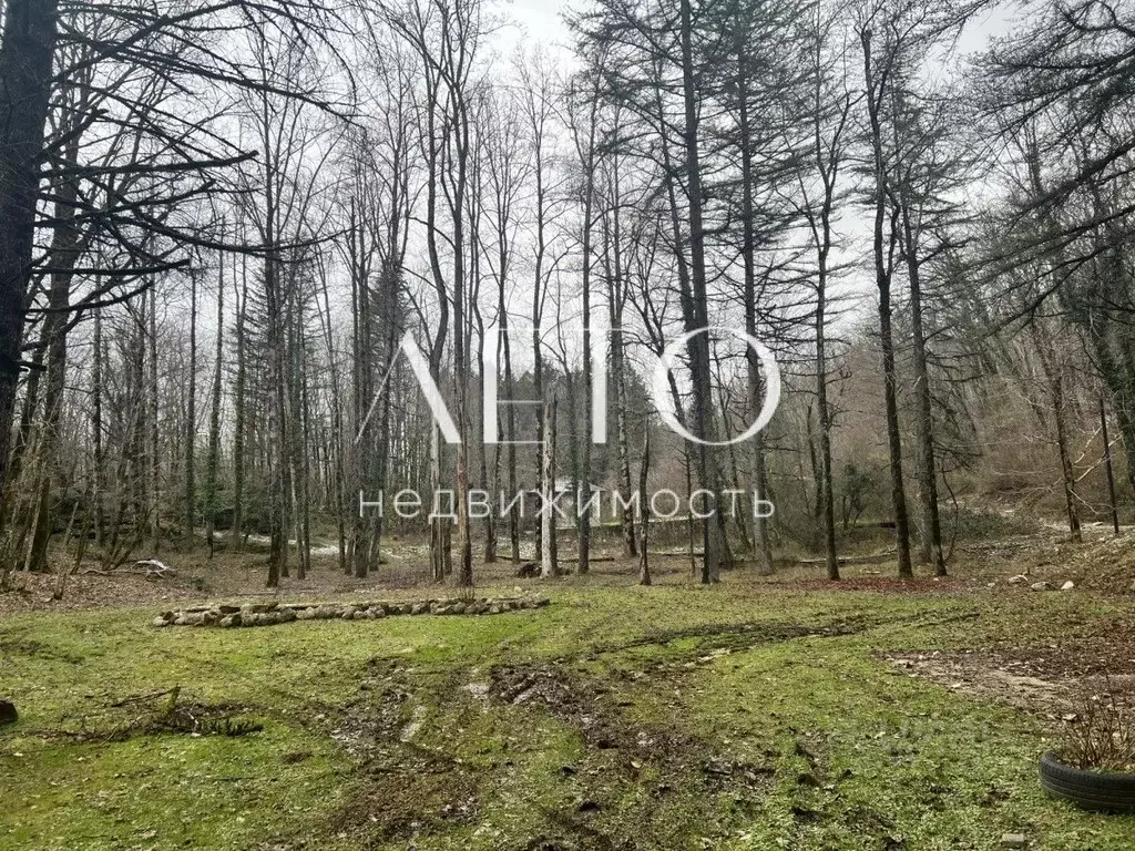 Дом в Краснодарский край, Сочи городской округ, с. Казачий Брод ул. ... - Фото 0