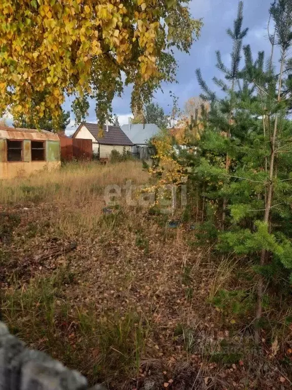 Участок в Ханты-Мансийский АО, Сургут Виктория садовое товарищество, ... - Фото 0
