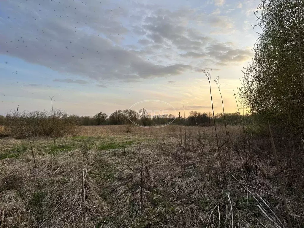 Участок в Калининградская область, Калининград Золотой Петушок ДНТ,  ... - Фото 2