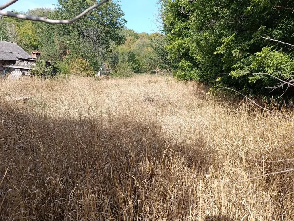 Участок в Ростовская область, Октябрьский район, Красюковская сл. ... - Фото 2