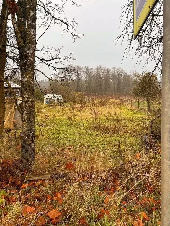 Участок в Ленинградская область, Лужский район, Володарское с/пос, д. ... - Фото 1