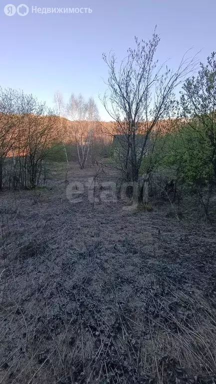 Участок в Майминский район, садоводческое товарищество Берёзка (8.36 ... - Фото 1